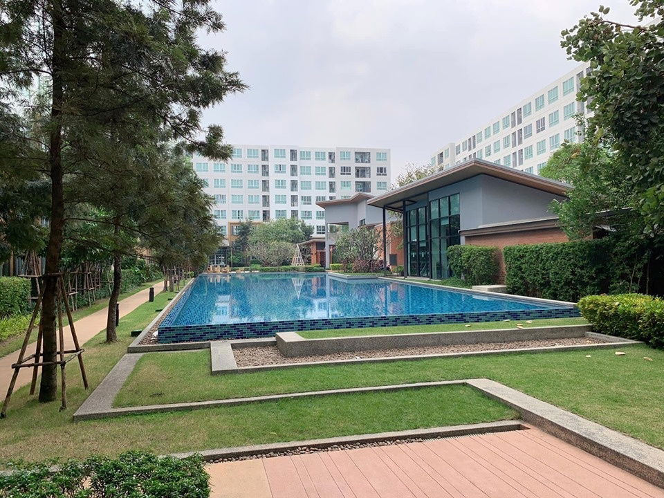 picture 1bedroom D condo nim for rent 12,000THB/month pool view 38sq.m. Tel. +66823899314 (Bubu) - 13/14