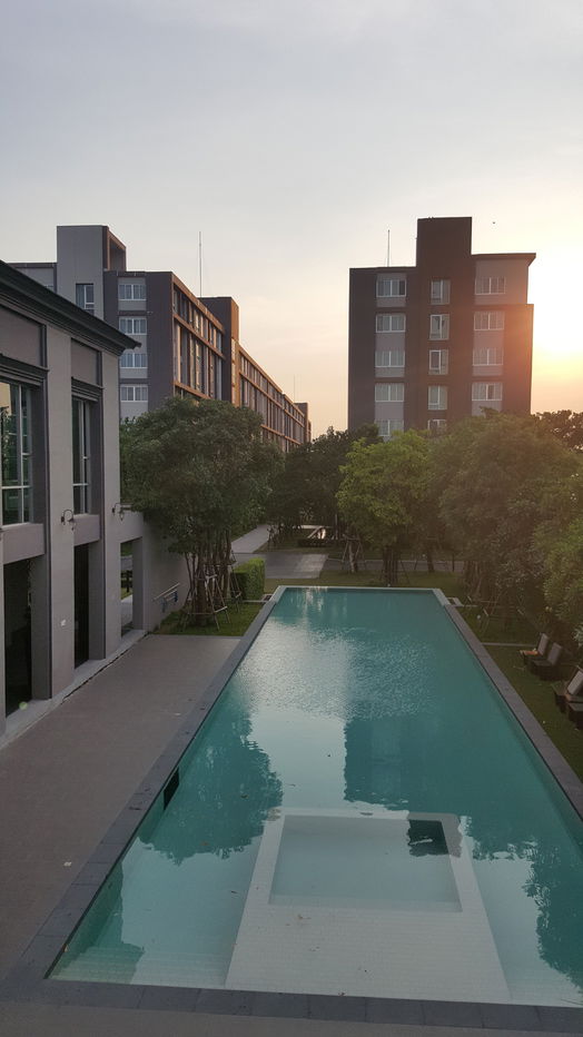 รูป ให้เช่า DCondo Campus Resort Bangna (ดีคอนโด แคมปัส รีสอร์ท บางนา) - รูปที่ 17/21