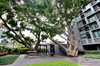 listing thumbnail image 18
