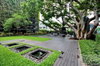 listing thumbnail image 20