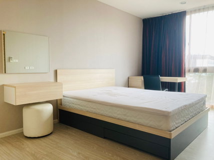 รูปภาพ For Rent Palm Springs Areca Condo Chiang Mai