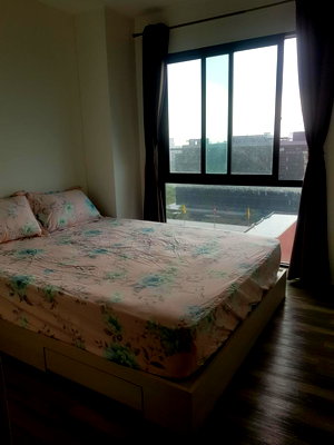 Condos for rent : G 6398🚨 中国客户，请加微信。(在联系方式的旁边) For rent Kensington Kaset-Campus Line❤️💜@condopremium💜❤️