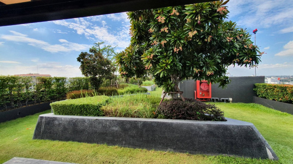 รูป สถานะตามภาพปกครับ*มีห้องว่างนะครับผม  **ให้เช่า ธนา แอสโทเรีย ระเบียงกว้าง แสงดี ชั้น 6  **รวมส่วนกลาง **อยู่ได้ 2 คน หารคนละไม่ถึง 5000 SN089.4* - รูปที่ 43/48