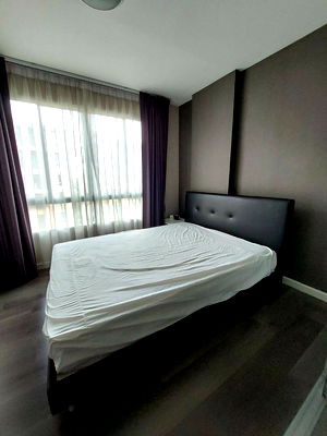Condos for rent Rangsit-Nakhon Nayok Road : For rent dcondo rangsit nearby Thammasart University.