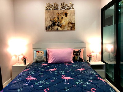 Condos for rent 700 Year Sports Arena Chiang Mai : For Rent Palm Springs Phoenix Chiang Mai 