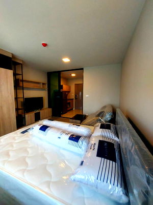 Condos for rent Rangsit-Nakhon Nayok Road : For Rent Dcondo Hideaway Rangsit Nearby Thammasart University.