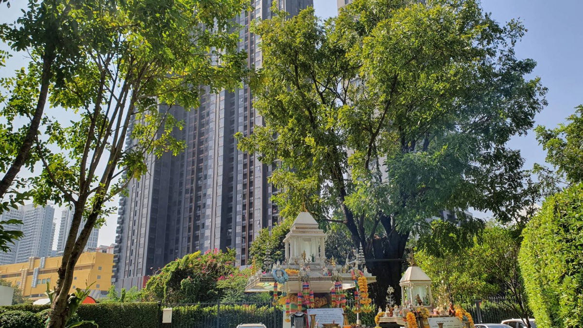 รูป SN519.3 **ห้องว่างครับผม มาใหม่** ให้เช่า Life ลาดพร้าว  **ห้องสตู 26 ตรม. ชั้น 42 (🕊bird eye view) อาคารB ทิศใต้ ไม่ร้อน ไม่โดนบังวิว วิวดี ** - รูปที่ 21/31