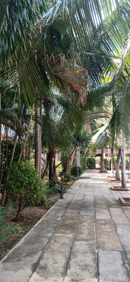 picture Ad condo for rent tel 0864080018 - 11/15