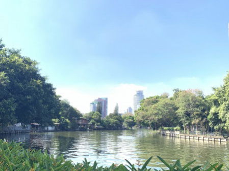 picture Condo for rent near BTS On Nut, Blocs 77, 1 bed 1 bath, 31 sqm. opposite Big C On Nut, near T77 Community - 2/20