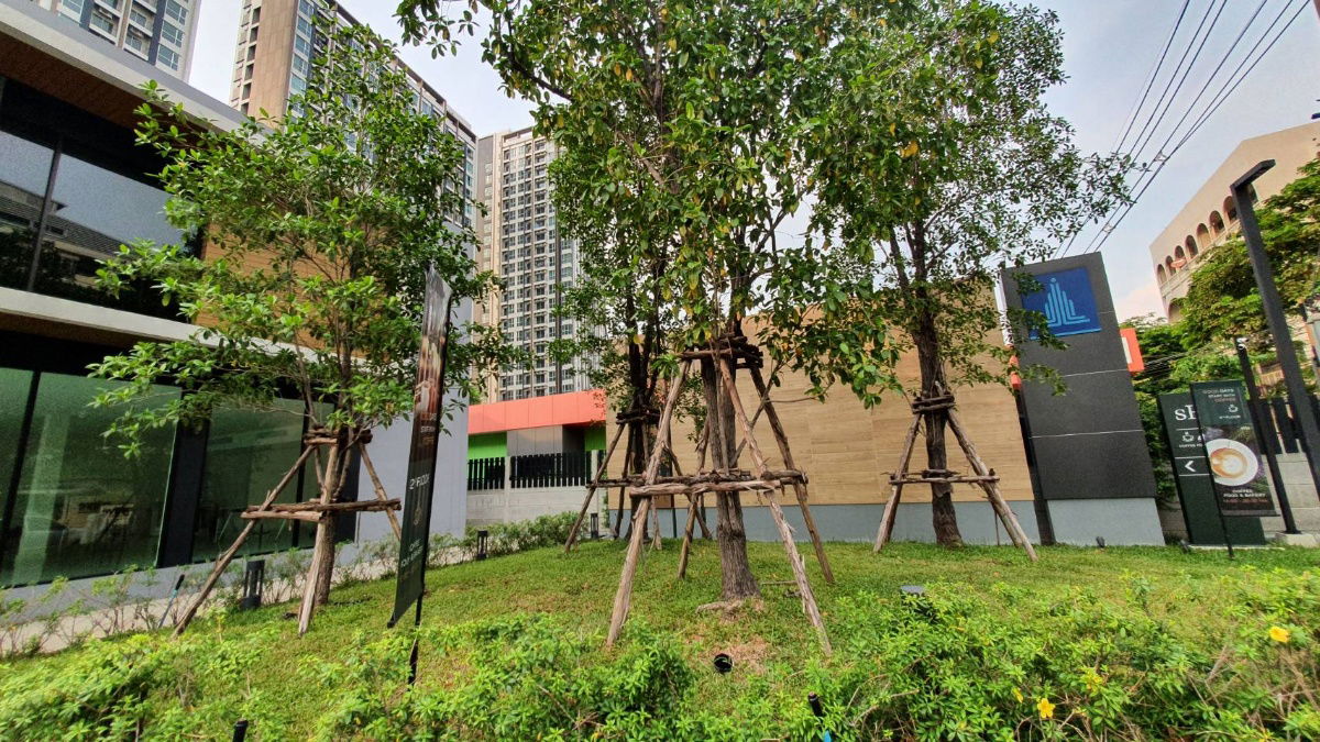 รูป SN541**ห้องไม่ว่างครับผม แต่มีห้องอื่นว่าง ** ให้เช่า ลุมพินี พาร์ค บรมราชชนนี-สิรินธร ชั้น 23 !!ชั้นบนสุด!! มีรถรับส่ง MRT เมเจอร์ปิ่น เซรทรัลปิ่น - รูปที่ 43/44