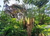 listing thumbnail image 28