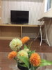 listing thumbnail image 14