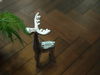 listing thumbnail image 9