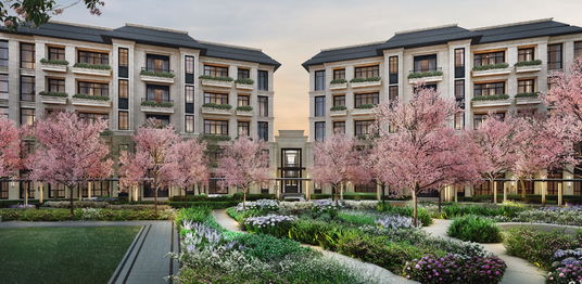 ดิ แอสเพน ทรี เดอะ ฟอเรสเทียส์