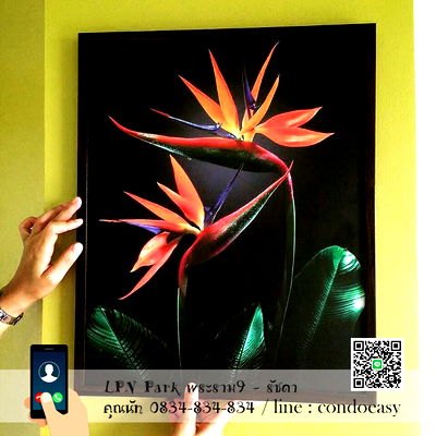 คอนโดให้เช่า : ให้เช่าคอนโด LPN Park พระราม9-รัชดา