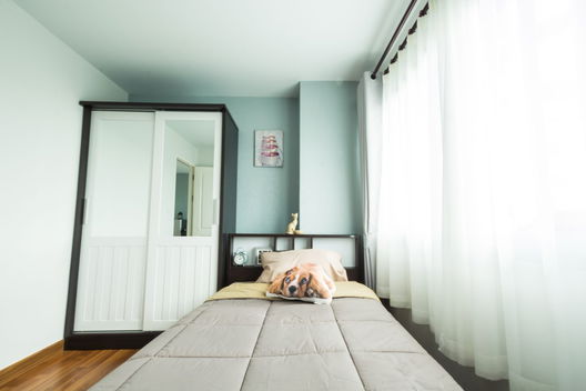 Project Kulapapruek Maha Sarakham Picture - 5/9