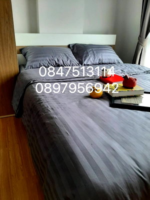 Condos for rent :  The Kith Lite Bangkadi  6000 per month