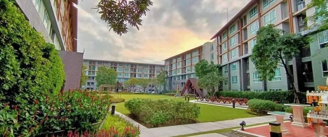 รูป ให้เช่า ❗️ ดีคอนโด แคมปัส  Dcondo Campus CMU ใกล้มช. เดินไปเรียนได้ - รูปที่ 10/21