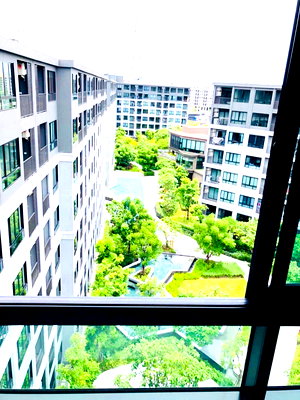 Condos for rent Khlong Luang Pathumthani : "D condo Campus  hideaway Rangsit"