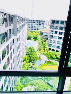 รูปภาพ "D condo Campus hideaway Rangsit"