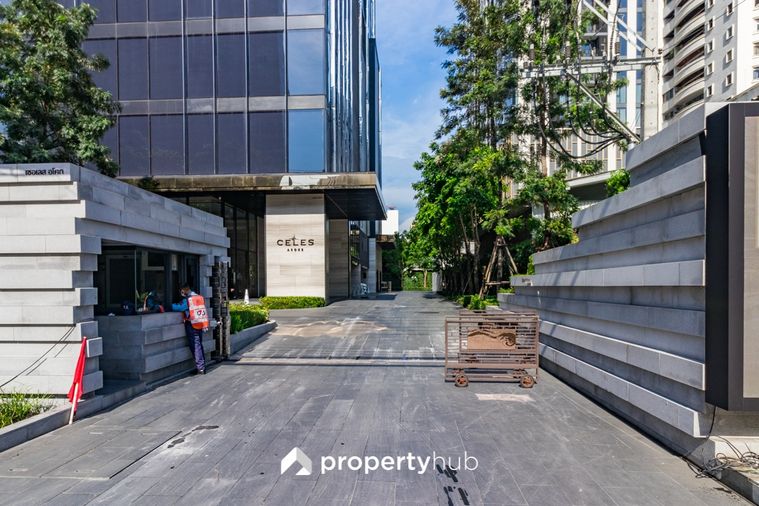 Celes Asoke