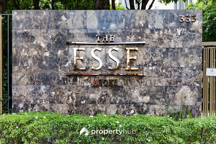 The Esse Asoke