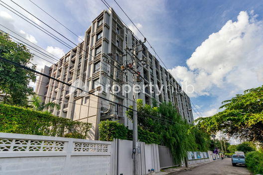 Project DOLCE LASALLE Picture - 2/22