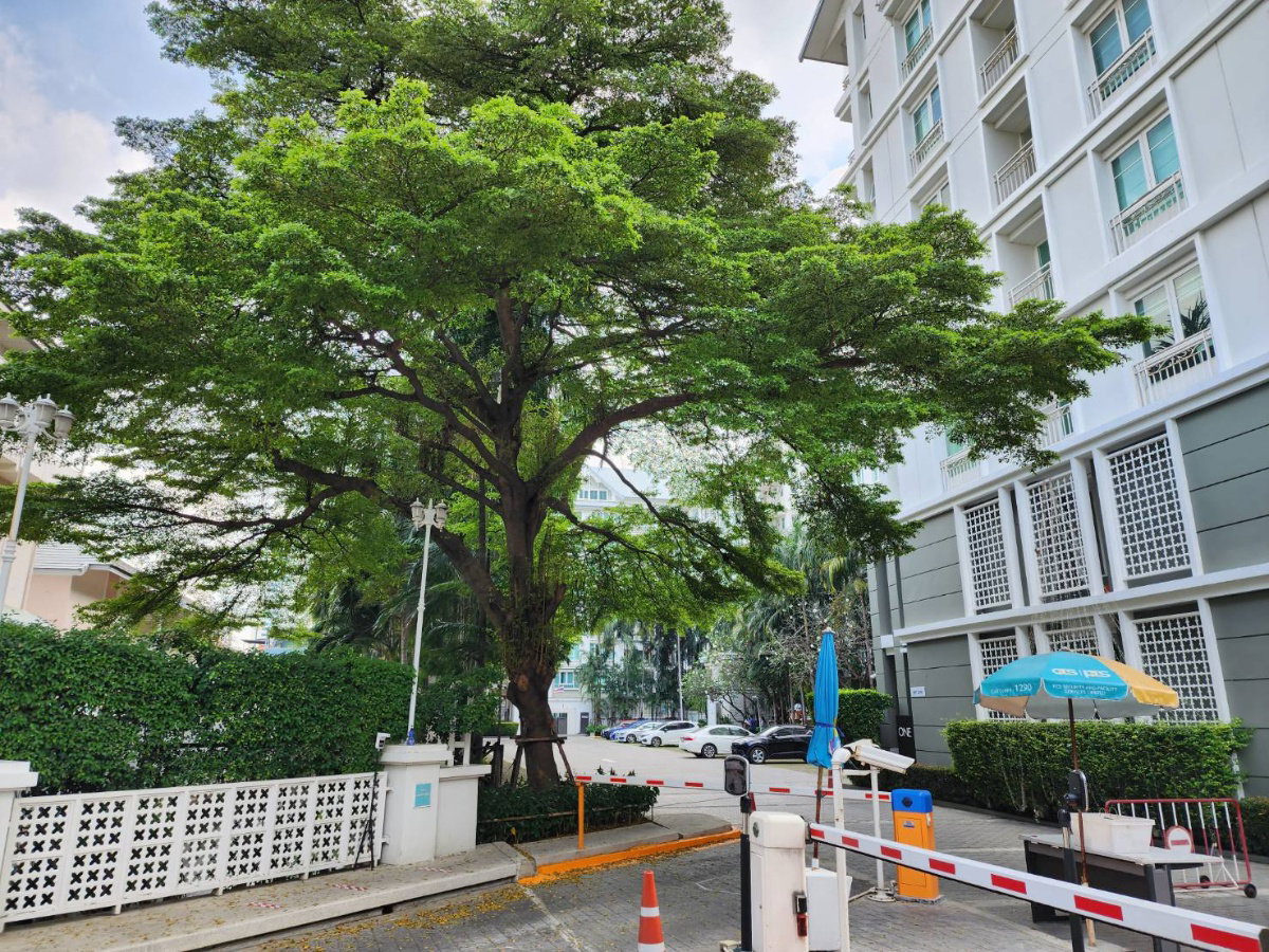 รูป **ห้องว่างครับผม คอนโดระดับ Luxury**ให้เช่าคอนโด The bangkok สาทร-ตากสิน ขนาด 52 ตรม. แต่งสวยพร้อมใช้งาน ห้องริมเป็นส่วนตัว SN609.1.162 - รูปที่ 46/46