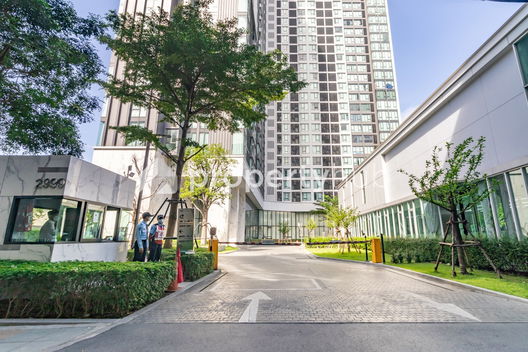 รูป Ciela Sripatum - รูปที่ 4/17