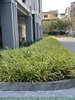 listing thumbnail image 34