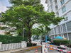 listing thumbnail image 9