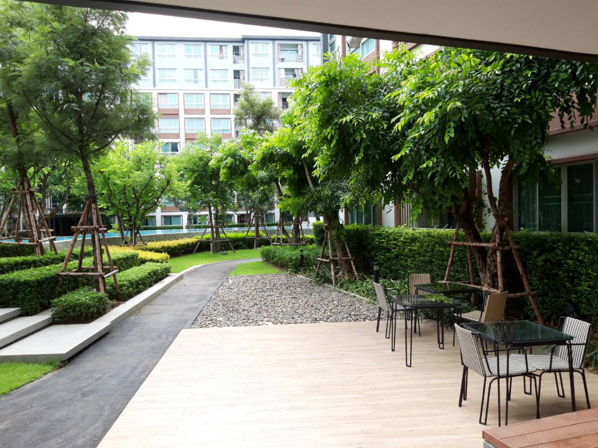 รูป ให้เช่าคอนโด ดีคอนโดพิงค์ 30 ตร.ม. ชั้น 5 ติด Central Festival Chiang Mai - รูปที่ 24/33