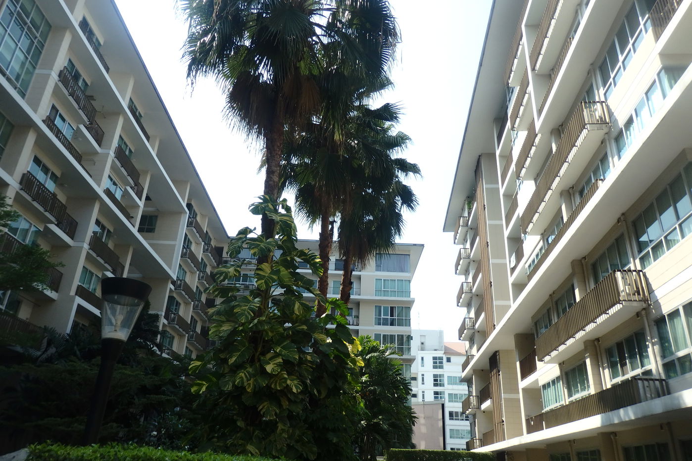 รูป คอนโด 1-ห้องนอน ที่ เดอะ โคลเวอร์ ทองหล่อ เรสซิเดนซ์ ใกล้ BTS ทองหล่อ (ID 887181) - รูปที่ 24/31