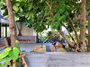 listing thumbnail image 16