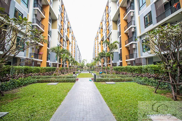 picture (Owner released by himself) I Condo Sukhumvit 105, near BTS Bearing, large room 31 sq m., 6th floor, Building A6, good view, 1 bedroom  with furniture - 25/38