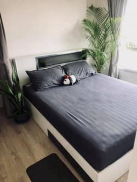 Chewathai Phetkasem 27 For Rent