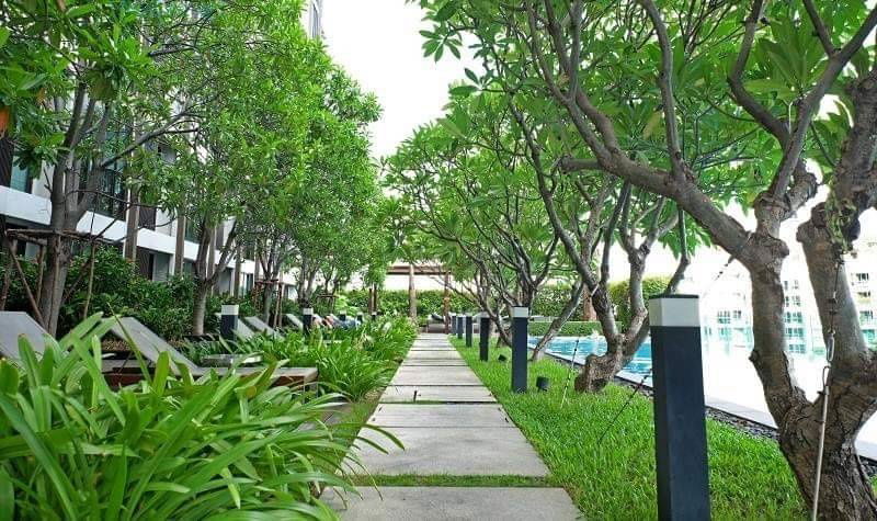 รูป คอนโดติดMRT​ พหลโยธิน เซนทรัล​ลาดพร้าว ให้เช่าห้องใหม่ IDEO Ladprao 5 (ไอดีโอ ลาดพร้าว 5)พร้อมเฟอร์เครื่องใช้ไฟฟ้าครบชุด ชั้น 17 ขนาด 34 ตรม. - รูปที่ 17/20