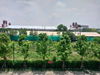 listing thumbnail image 15