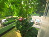 listing thumbnail image 12
