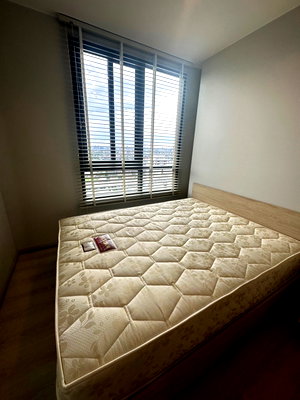 Condos for rent : [For rent] NUE Noble Srinakarin Lasalle