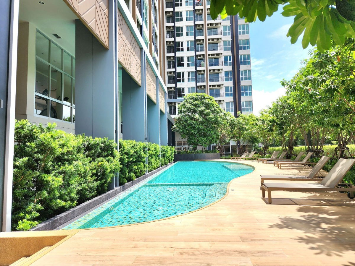 รูป **ห้องไม่ว่างครับผมแต่มีห้องอื่นว่าง ** ให้เช่า คอนโด ลุมพินี พาร์ค บรมราชชนนี-สิรินธร!! มีรถรับส่ง MRTสิรินธร เมเจอร์ปิ่น เซนทรัลปิ่น SN541.2 - รูปที่ 31/62