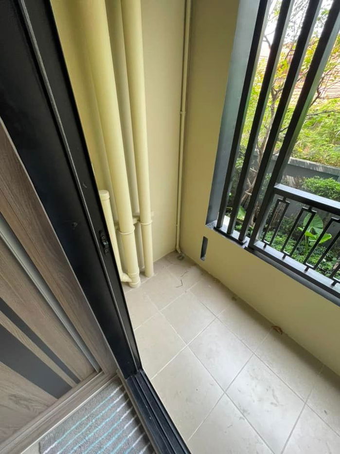 รูป  ปล่อย เช่าคอนโด ___ Plum Condo Saphanmai Statio ‼️ว่าง 25 กันยายน - รูปที่ 12/12