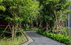 listing thumbnail image 31