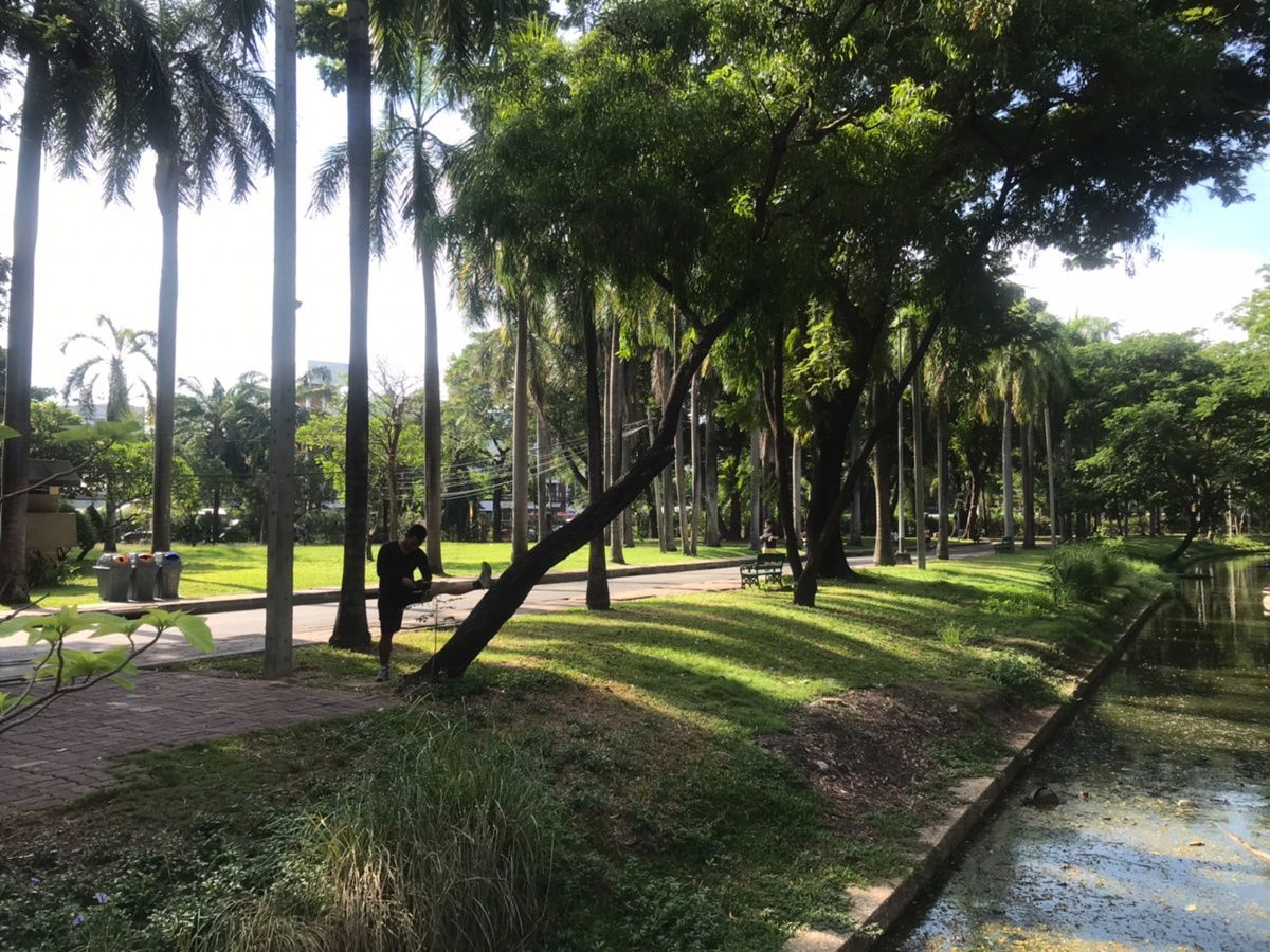 picture Condo for rent Future Place (Near the Red Line BTS, Future Park Rangsit, Lotus Rangsit) - 10/12