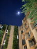 listing thumbnail image 24