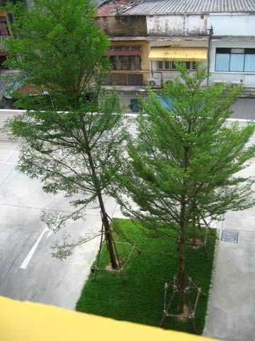 รูป มายคอนโด สาทร-ตากสิน  My Condo Sathorn-Taksin  - รูปที่ 10/10