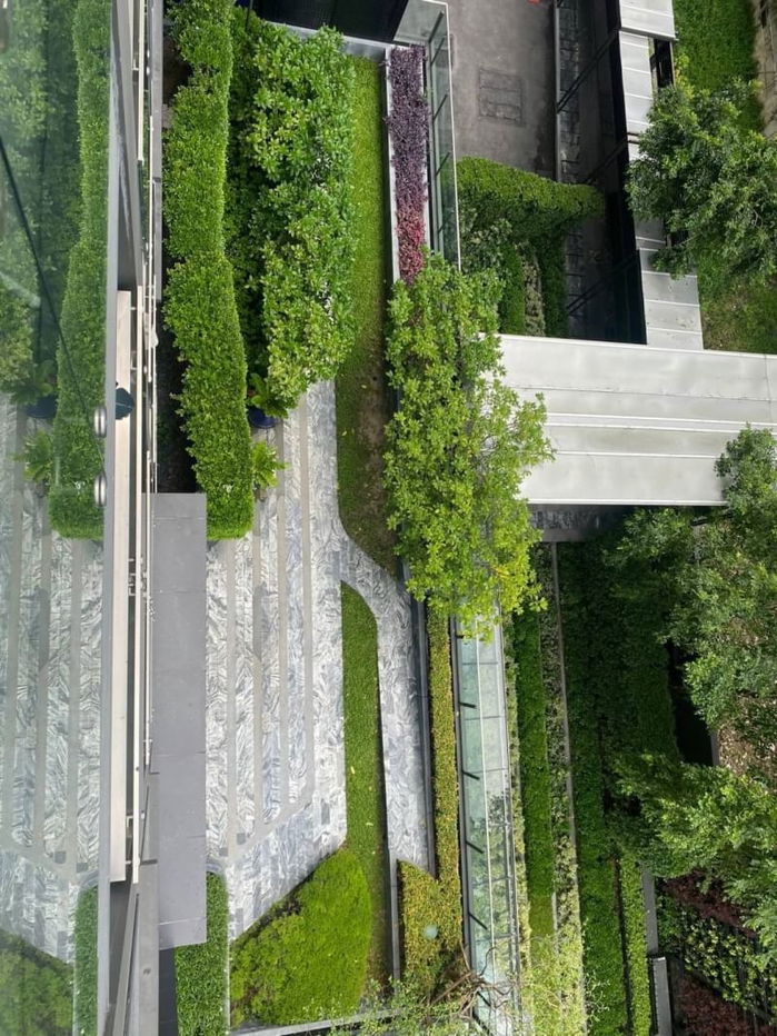 picture FOR Rent The Line Asoke-Ratchada Unit 585/66 (6/11/68) - 10/11