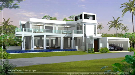 รูป Palm Oasis - รูปที่ 2/6