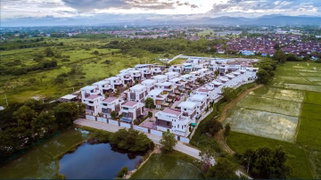 Rochalia - Image 3/12