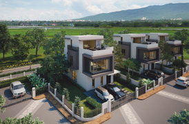 Rochalia - Image 2/12